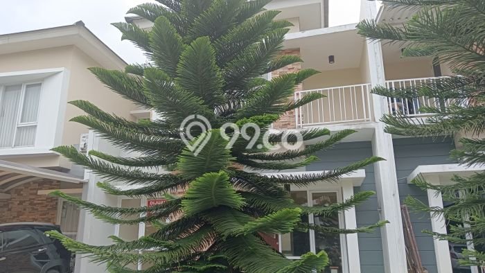 Rumah Modern 2 Kamar LT 84m2 di Cibuluh Rumah Modern 2 Kamar LT 84m2 di Cibuluh