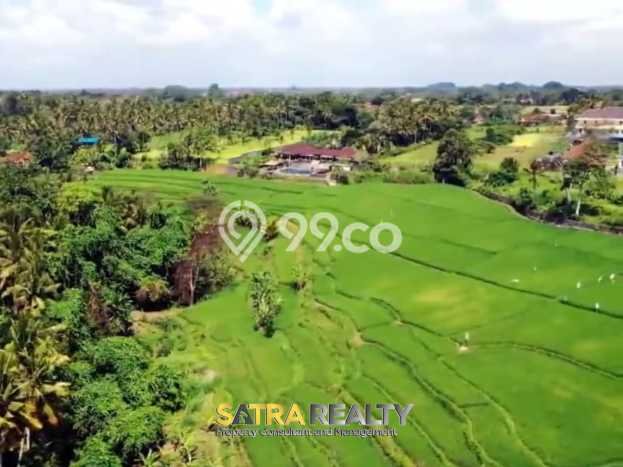 LOKASI STRATEGIS! Tanah di Ubud, Luas 14255m2m², Area Nyaman, Cocok untuk Hunian LOKASI STRATEGIS! Tanah di Ubud, Luas 14255m2m², Area Nyaman, Cocok untuk Hunian