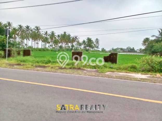 Jarang Ada! Tanah di Panimbang Punya Luas 15000m2 SHM Jarang Ada! Tanah di Panimbang Punya Luas 15000m2 SHM