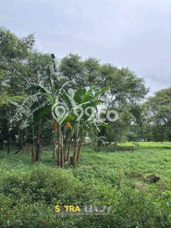 Tanah untuk Dijual Lokasi Cengkareng, Jakarta Barat Luas 16318m2 SHM Tanah untuk Dijual Lokasi Cengkareng, Jakarta Barat Luas 16318m2 SHM