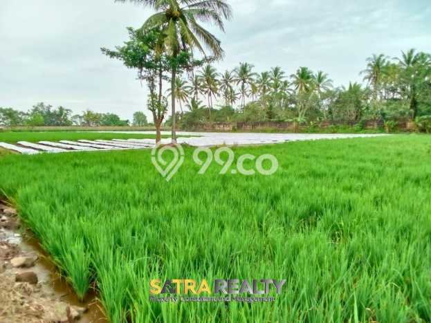 Kavling Tanah di Panimbang Dijual Luas 15000m2 Legalitas SHM Kavling Tanah di Panimbang Dijual Luas 15000m2 Legalitas SHM