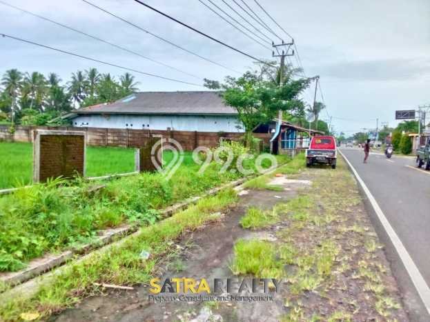 Kavling Tanah di Panimbang Dijual Luas 15000m2 Legalitas SHM Kavling Tanah di Panimbang Dijual Luas 15000m2 Legalitas SHM