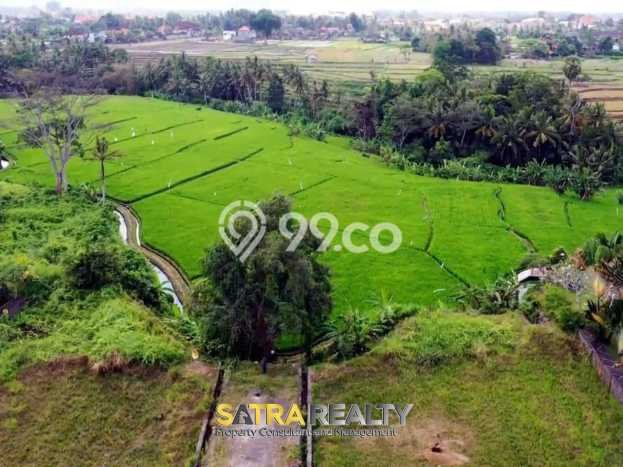 Tanah Kavling di Ubud Dijual dengan Luas 14255m2 Tanah Kavling di Ubud Dijual dengan Luas 14255m2
