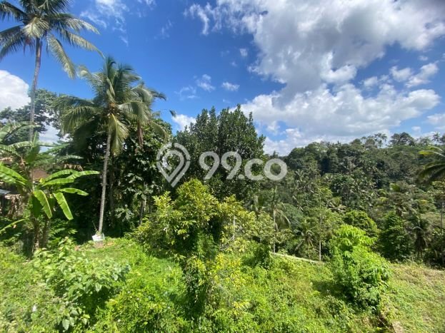 HARGA TERBAIK! Tanah Kawasan Kenderan, Luas 4200m², Area Potensial HARGA TERBAIK! Tanah Kawasan Kenderan, Luas 4200m², Area Potensial