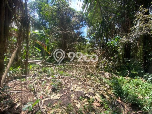 AREA PROSPEKTIF! Tanah di Keliki, Luas 4200m², Dekat Fasilitas Umum, Kawasan Berkembang AREA PROSPEKTIF! Tanah di Keliki, Luas 4200m², Dekat Fasilitas Umum, Kawasan Berkembang