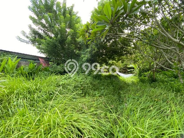 TANAH POTENSIAL! Tanah di Ubud, Luas 710m², Tepi Jalan Utama TANAH POTENSIAL! Tanah di Ubud, Luas 710m², Tepi Jalan Utama