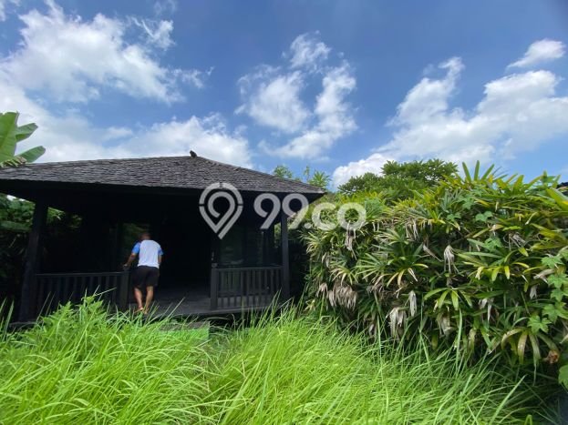 TANAH POTENSIAL! Tanah di Ubud, Luas 710m², Tepi Jalan Utama TANAH POTENSIAL! Tanah di Ubud, Luas 710m², Tepi Jalan Utama
