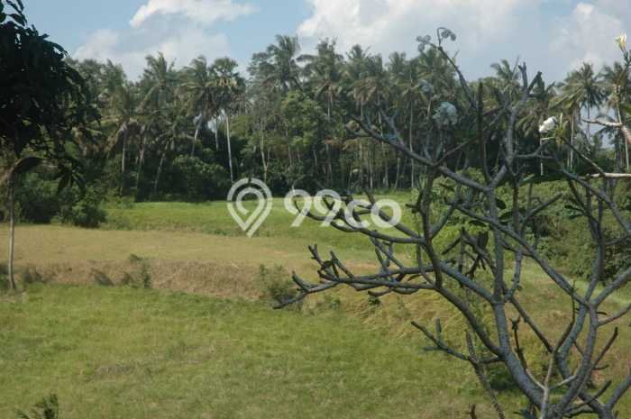Tanah Strategis Dijual di Sukawati Gianyar 4500m2 Tanah Strategis Dijual di Sukawati Gianyar 4500m2