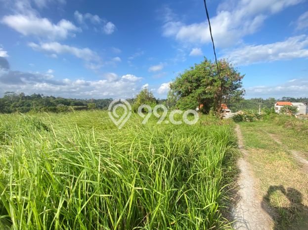 Tanah Lokasi Strategis di Kemenuh, Luas 600m², Akses ke Fasilitas Umum, Akses Kemenuh, Gianyar, Gianyar Tanah Lokasi Strategis di Kemenuh, Luas 600m², Akses ke Fasilitas Umum, Akses Kemenuh, Gianyar, Gianyar