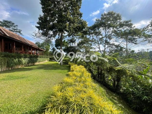 Untuk Dijual Komersial di Payangan, Gianyar Harga Penawaran Spesial Untuk Dijual Komersial di Payangan, Gianyar Harga Penawaran Spesial
