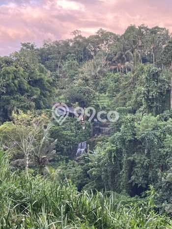 Tanah Disewa di Blahkiuh Strategis dan Memiliki Luas 338m2 Tanah Disewa di Blahkiuh Strategis dan Memiliki Luas 338m2