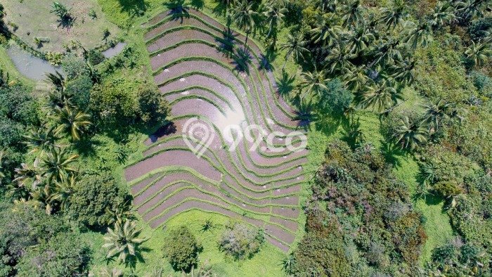 Dijual Tanah 54720m2 di Wanagiri, Buleleng Dijual Tanah 54720m2 di Wanagiri, Buleleng