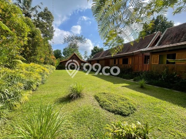 Untuk Dijual Komersial di Payangan, Gianyar Harga Penawaran Spesial Untuk Dijual Komersial di Payangan, Gianyar Harga Penawaran Spesial