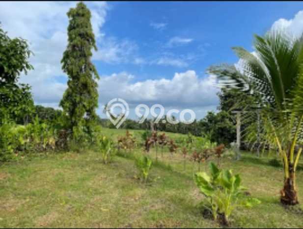 Tanah Kawasan , Luas 3000m2m², Dekat Jalan Utama Tanah Kawasan , Luas 3000m2m², Dekat Jalan Utama