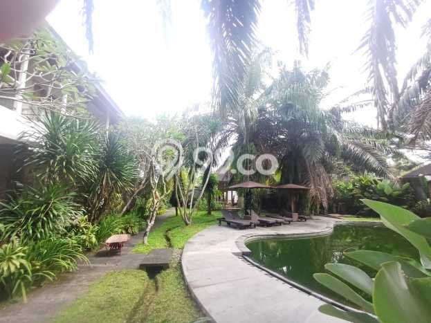 Jual Hotel Kawasan Ubud, Luas 2000m2m², Area Bisnis, Akses Mudah Jual Hotel Kawasan Ubud, Luas 2000m2m², Area Bisnis, Akses Mudah