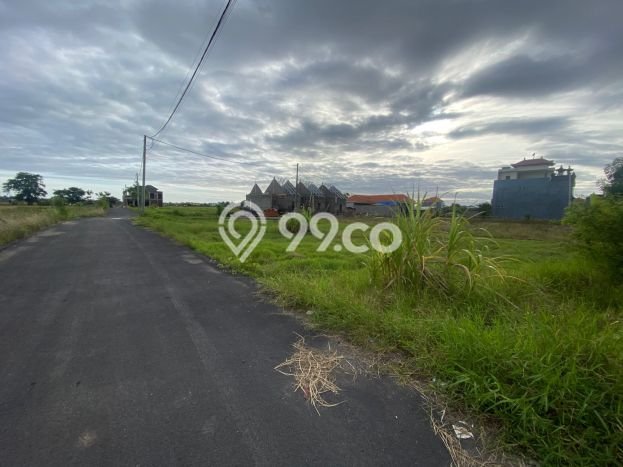 Untuk Dijual Tanah di Denpasar, Luas 565m2 SHM Untuk Dijual Tanah di Denpasar, Luas 565m2 SHM