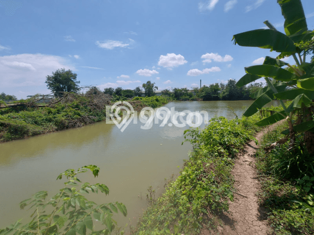 Tanah di Cerme, Luas 4923m2m², Area Strategis, Kawasan Asri Tanah di Cerme, Luas 4923m2m², Area Strategis, Kawasan Asri