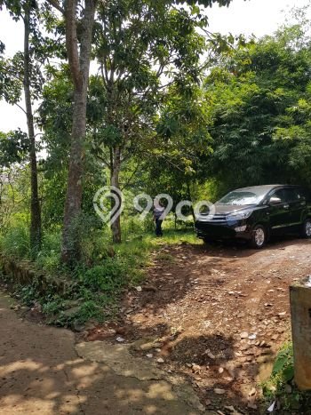Tanah Strategis Dijual di Tajur Halang Bogor 480m2 Tanah Strategis Dijual di Tajur Halang Bogor 480m2
