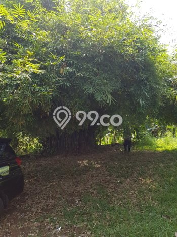 Tanah Strategis Dijual di Tajur Halang Bogor 480m2 Tanah Strategis Dijual di Tajur Halang Bogor 480m2
