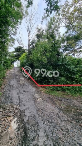 Lahan Dijual Lokasi Jimbaran, Badung dengan Luas Tanah 1000m2 dan Status SHM Lahan Dijual Lokasi Jimbaran, Badung dengan Luas Tanah 1000m2 dan Status SHM