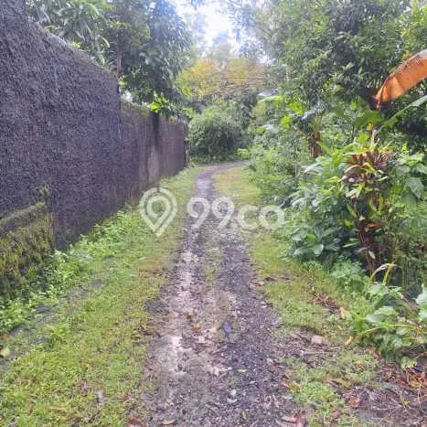 Lahan Dijual Lokasi Jimbaran, Badung dengan Luas Tanah 1000m2 dan Status SHM Lahan Dijual Lokasi Jimbaran, Badung dengan Luas Tanah 1000m2 dan Status SHM