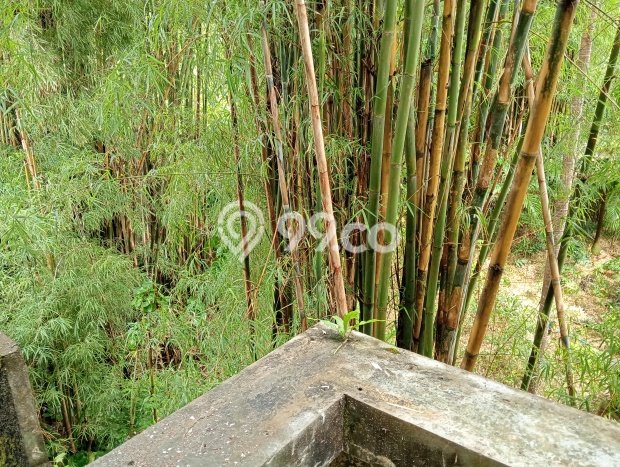 Tanah Kavling Dijual di Badung dengan Spesifikasi 1000m2 Tanah Kavling Dijual di Badung dengan Spesifikasi 1000m2
