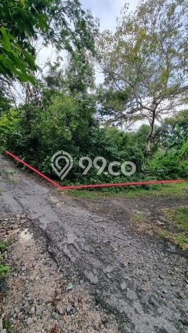 Lahan Dijual Lokasi Jimbaran, Badung dengan Luas Tanah 1000m2 dan Status SHM Lahan Dijual Lokasi Jimbaran, Badung dengan Luas Tanah 1000m2 dan Status SHM