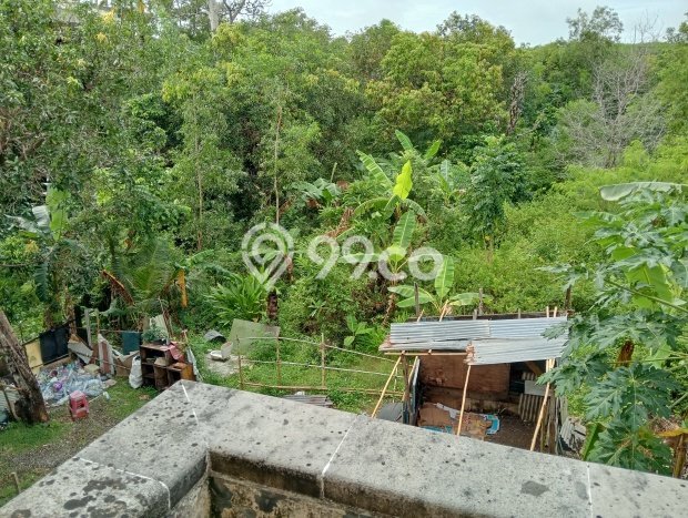 Tanah Kavling Dijual di Badung dengan Spesifikasi 1000m2 Tanah Kavling Dijual di Badung dengan Spesifikasi 1000m2