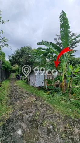 Lahan Dijual Lokasi Jimbaran, Badung dengan Luas Tanah 1000m2 dan Status SHM Lahan Dijual Lokasi Jimbaran, Badung dengan Luas Tanah 1000m2 dan Status SHM