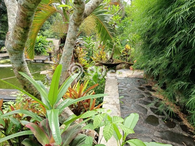Tanah Kavling Dijual di Badung dengan Spesifikasi 1000m2 Tanah Kavling Dijual di Badung dengan Spesifikasi 1000m2