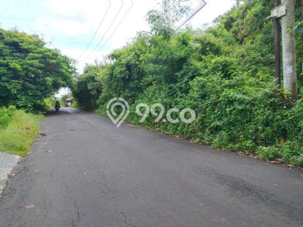 Jarang Ada! Tanah Kavling Disewakan di Badung 13000m2 Jarang Ada! Tanah Kavling Disewakan di Badung 13000m2