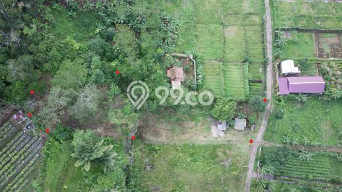 Tanah Kavling untuk Dijual di Baturiti Tabanan 1560m2 Tanah Kavling untuk Dijual di Baturiti Tabanan 1560m2