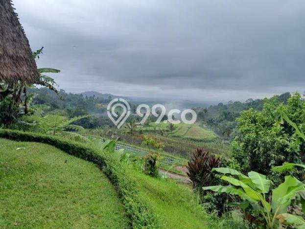 Tanah Kavling untuk Dijual di Baturiti Tabanan 1560m2 Tanah Kavling untuk Dijual di Baturiti Tabanan 1560m2