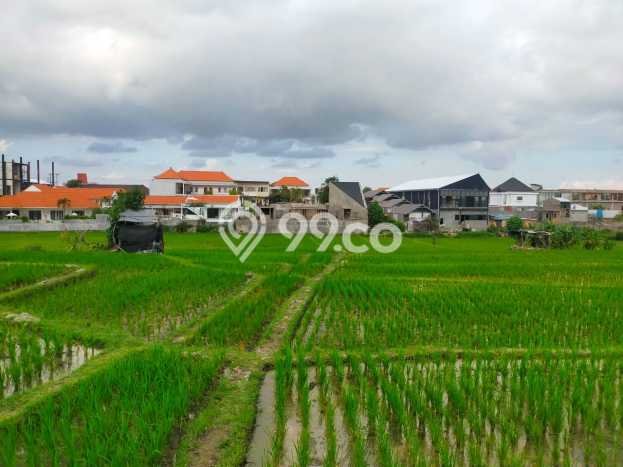 Untuk Disewa Tanah di Badung, Luas 2950m2 Area Berkembang Untuk Disewa Tanah di Badung, Luas 2950m2 Area Berkembang