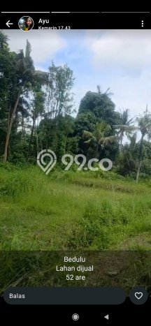Dijual Tanah Lokasi Gatot Subroto, Denpasar Seluas 100m2 Dijual Tanah Lokasi Gatot Subroto, Denpasar Seluas 100m2