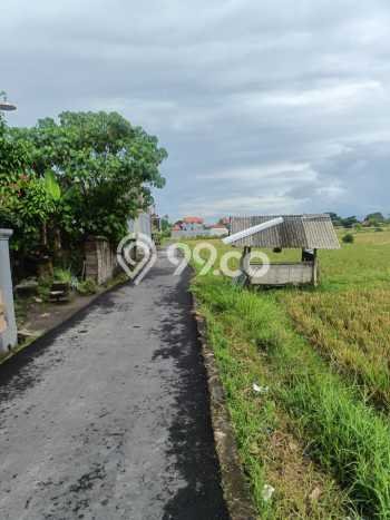 Tanah Investasi Dijual di Badung Punya Luas 167m2 Tanah Investasi Dijual di Badung Punya Luas 167m2