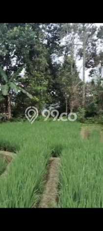 Kavling Tanah untuk Dijual di Pupuansawah, Tabanan, Luas 2820m2 Kavling Tanah untuk Dijual di Pupuansawah, Tabanan, Luas 2820m2