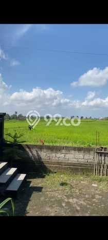 Rumah Modern Cantik 4 KT Siap Huni di Penebel Rumah Modern Cantik 4 KT Siap Huni di Penebel