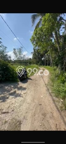 Dijual Tanah di Ubud, Luas 470m2m², Akses Strategis Dijual Tanah di Ubud, Luas 470m2m², Akses Strategis