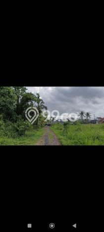 Tanah Lokasi Strategis di Saba, Luas 250m², Ideal untuk Investasi Tanah Lokasi Strategis di Saba, Luas 250m², Ideal untuk Investasi