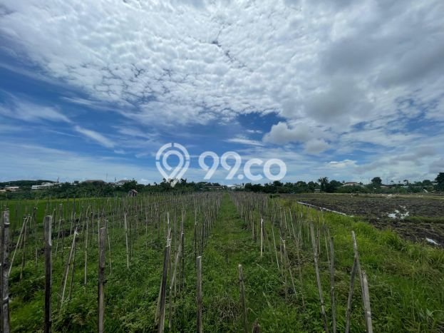 Tanah Lokasi Strategis di Cemagi, Luas 4700m², Ideal untuk Bisnis Tanah Lokasi Strategis di Cemagi, Luas 4700m², Ideal untuk Bisnis