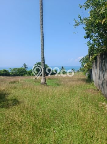 Tanah Kawasan Lalanglinggah, Luas 6000m², Area Strategis, Dekat Lalanglinggah, Tabanan, Tabanan Tanah Kawasan Lalanglinggah, Luas 6000m², Area Strategis, Dekat Lalanglinggah, Tabanan, Tabanan
