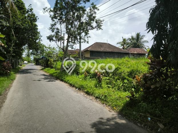 Tanah Dijual Lokasi Ubud, Gianyar dengan Luas Tanah 4050m2 dan Status SHM Tanah Dijual Lokasi Ubud, Gianyar dengan Luas Tanah 4050m2 dan Status SHM