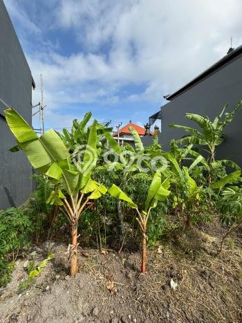 Tanah Dijual Lokasi Ubud, Gianyar Luas 154m2 Legalitas Aman Tanah Dijual Lokasi Ubud, Gianyar Luas 154m2 Legalitas Aman