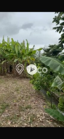 Untuk Dijual Tanah di Ubud Gianyar Luas 200m2 SHM Untuk Dijual Tanah di Ubud Gianyar Luas 200m2 SHM