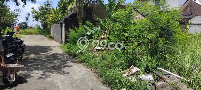 Dijual Tanah Lokasi Saba, Gianyar Seluas 200m2 Dijual Tanah Lokasi Saba, Gianyar Seluas 200m2