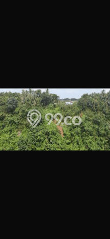 Tanah Kawasan , Luas 6700m2m², Sertifikat Hak Milik, Akses Tabanan, Tabanan Tanah Kawasan , Luas 6700m2m², Sertifikat Hak Milik, Akses Tabanan, Tabanan