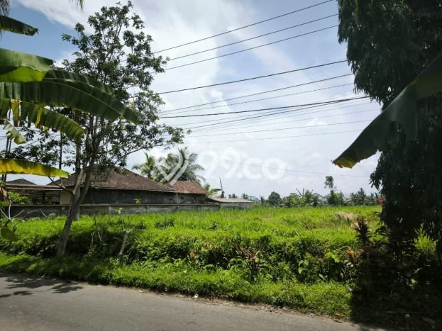 Tanah Dijual Lokasi Ubud, Gianyar dengan Luas Tanah 4050m2 dan Status SHM Tanah Dijual Lokasi Ubud, Gianyar dengan Luas Tanah 4050m2 dan Status SHM