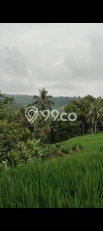 Kavling Tanah untuk Dijual di Pupuansawah, Tabanan, Luas 2820m2 Kavling Tanah untuk Dijual di Pupuansawah, Tabanan, Luas 2820m2