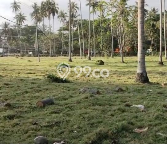 Kavling Tanah di Selemadeg Dijual Luas 29200m2 Legalitas SHM Kavling Tanah di Selemadeg Dijual Luas 29200m2 Legalitas SHM